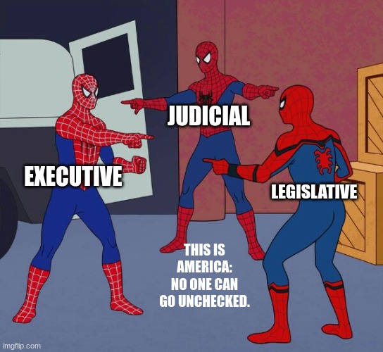 Spider Man Triple | JUDICIAL; EXECUTIVE; LEGISLATIVE; THIS IS AMERICA: NO ONE CAN GO UNCHECKED. | image tagged in spider man triple | made w/ Imgflip meme maker