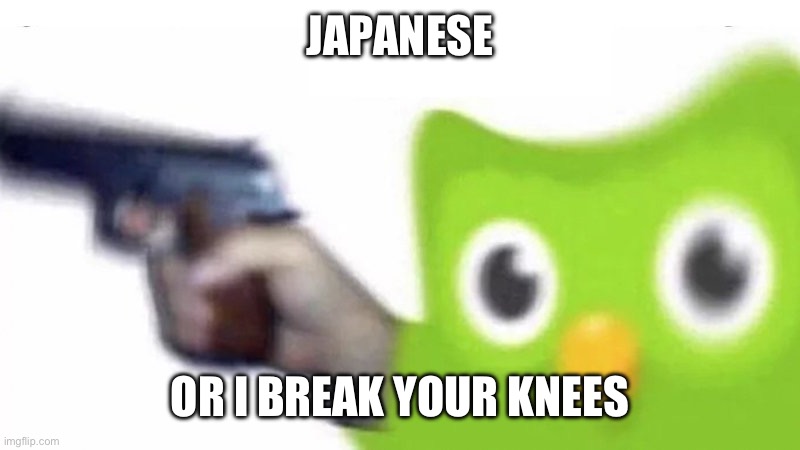 duolingo gun | JAPANESE; OR I BREAK YOUR KNEES | image tagged in duolingo gun | made w/ Imgflip meme maker