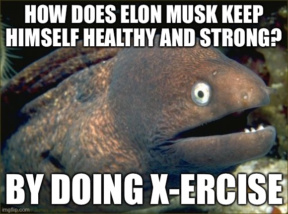 Eel-on Musk | HOW DOES ELON MUSK KEEP HIMSELF HEALTHY AND STRONG? BY DOING X-ERCISE | image tagged in memes,bad joke eel,elon musk,twitter x,x,exercise | made w/ Imgflip meme maker