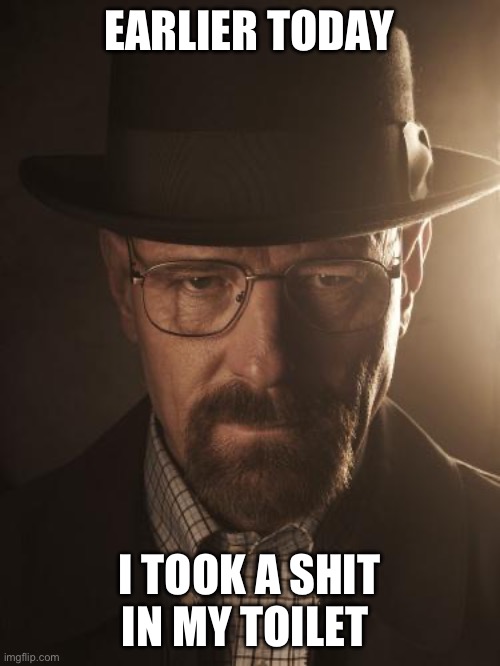 Walter White | EARLIER TODAY; I TOOK A SHIT IN MY TOILET | image tagged in walter white | made w/ Imgflip meme maker