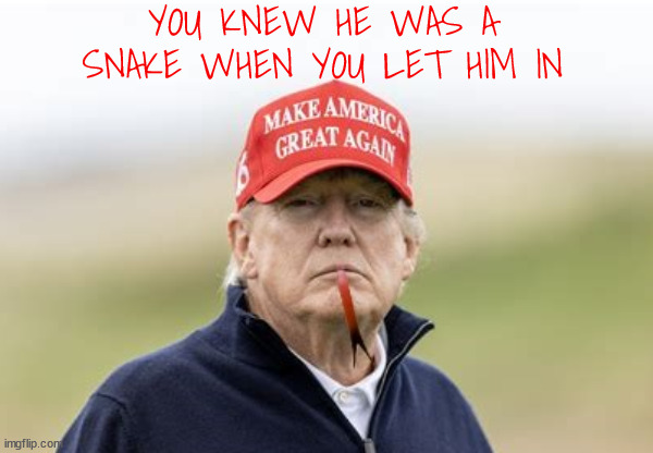 The snake you let in... | YOU KNEW HE WAS A SNAKE WHEN YOU LET HIM IN | image tagged in gop,maga,republicans,rnc,the snake poem,say no to anti-venom | made w/ Imgflip meme maker