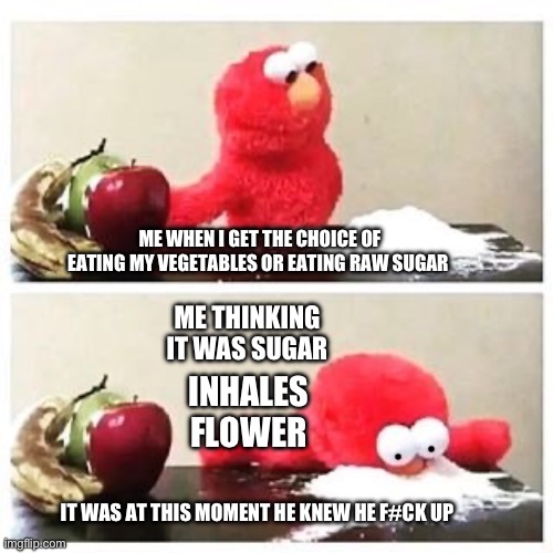 elmo cocaine | ME WHEN I GET THE CHOICE OF EATING MY VEGETABLES OR EATING RAW SUGAR; ME THINKING IT WAS SUGAR; INHALES FLOWER; IT WAS AT THIS MOMENT HE KNEW HE F#CK UP | image tagged in elmo cocaine | made w/ Imgflip meme maker