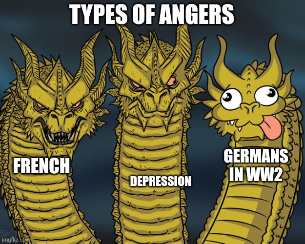 Fdd | TYPES OF ANGERS; GERMANS IN WW2; FRENCH; DEPRESSION | image tagged in three-headed dragon,ww2,history | made w/ Imgflip meme maker