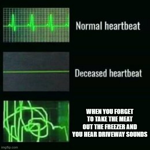 heartbeat rate | WHEN YOU FORGET TO TAKE THE MEAT OUT THE FREEZER AND YOU HEAR DRIVEWAY SOUNDS | image tagged in heartbeat rate | made w/ Imgflip meme maker