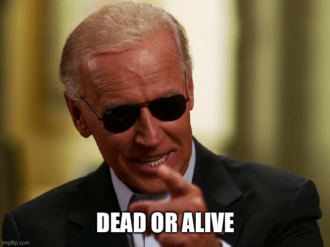 Cool Joe Biden | DEAD OR ALIVE | image tagged in cool joe biden | made w/ Imgflip meme maker