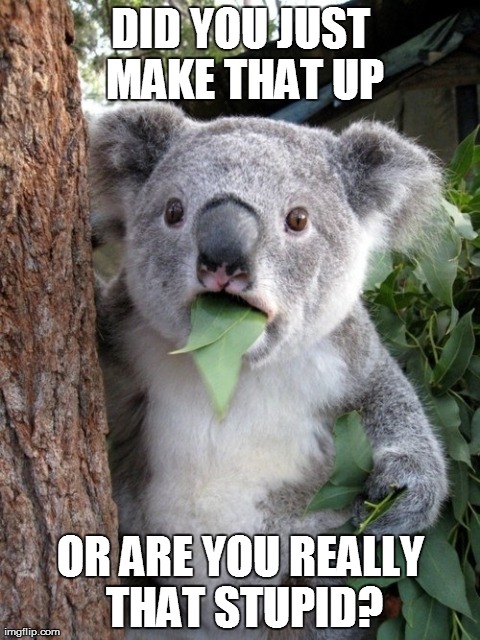 Surprised Koala | DID YOU JUST MAKE THAT UP OR ARE YOU REALLY THAT STUPID? | image tagged in memes,surprised coala | made w/ Imgflip meme maker