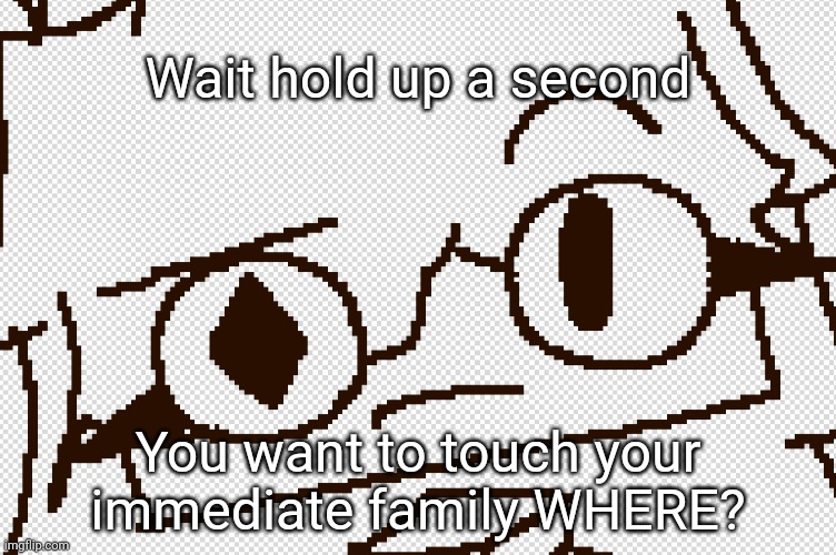 Beila Eyebrow Raise | Wait hold up a second You want to touch your immediate family WHERE? | image tagged in beila eyebrow raise | made w/ Imgflip meme maker