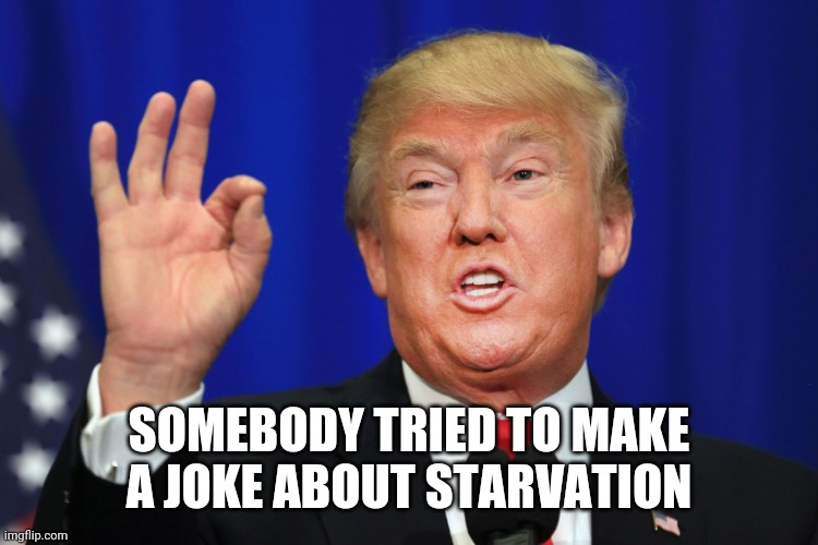 The Best Trump | SOMEBODY TRIED TO MAKE A JOKE ABOUT STARVATION | image tagged in the best trump | made w/ Imgflip meme maker