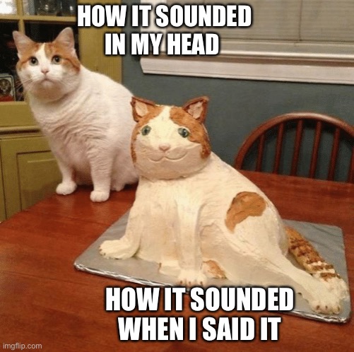 thinking before you speak doesn’t always align just right | HOW IT SOUNDED IN MY HEAD; HOW IT SOUNDED WHEN I SAID IT | image tagged in cat cake,funny,meme,how it sounded in my head,cat,fail | made w/ Imgflip meme maker