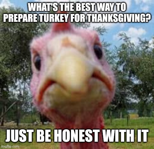turkey | WHAT'S THE BEST WAY TO PREPARE TURKEY FOR THANKSGIVING? JUST BE HONEST WITH IT | image tagged in turkey | made w/ Imgflip meme maker