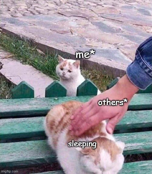 cant sleep | me*; others*; sleeping | image tagged in 2 cats | made w/ Imgflip meme maker