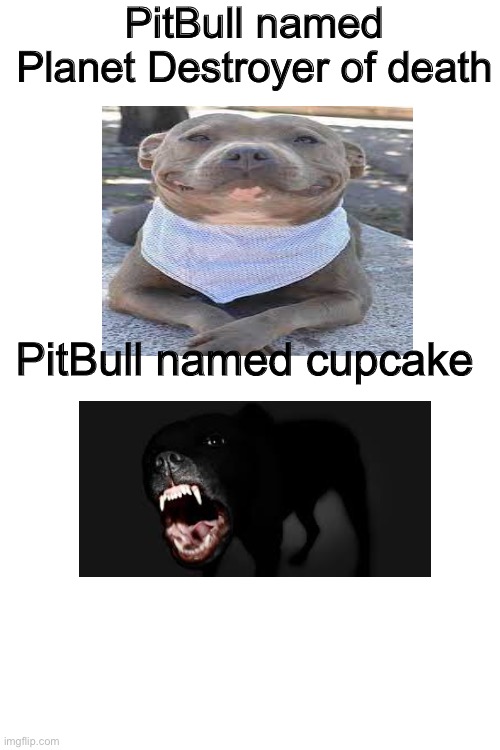 PitBulls be like | PitBull named Planet Destroyer of death; PitBull named cupcake | image tagged in memes,funny,true,cute,dogs,pitbull | made w/ Imgflip meme maker