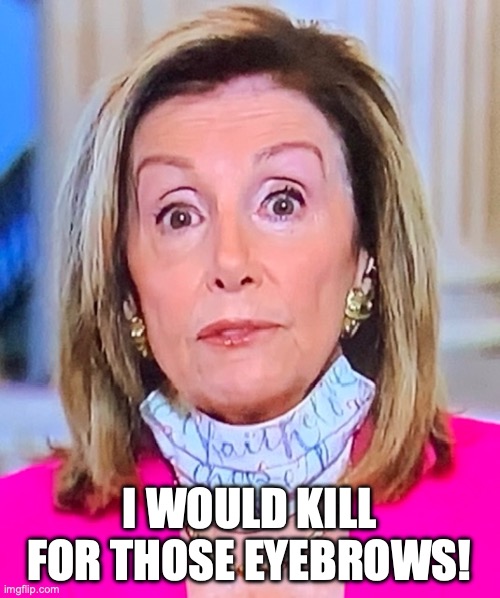 Nancy Pelosi Eyebrows | I WOULD KILL FOR THOSE EYEBROWS! | image tagged in nancy pelosi eyebrows | made w/ Imgflip meme maker