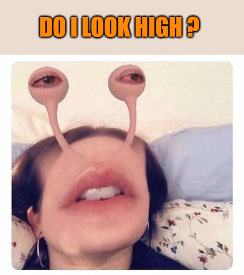 DO I LOOK HIGH ? | made w/ Imgflip meme maker