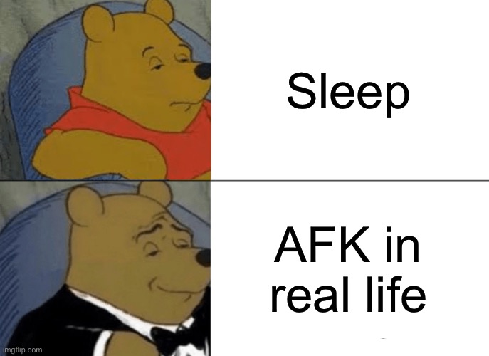 Lmao | Sleep; AFK in real life | image tagged in memes,tuxedo winnie the pooh | made w/ Imgflip meme maker