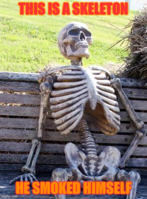 Waiting Skeleton Meme | THIS IS A SKELETON; HE SMOKED HIMSELF | image tagged in comedy | made w/ Imgflip meme maker