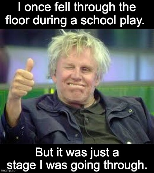 Busey | I once fell through the floor during a school play. But it was just a stage I was going through. | image tagged in gary busey approves | made w/ Imgflip meme maker