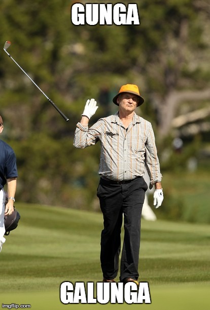 so i got that going for me... | GUNGA GALUNGA | image tagged in memes,bill murray golf | made w/ Imgflip meme maker