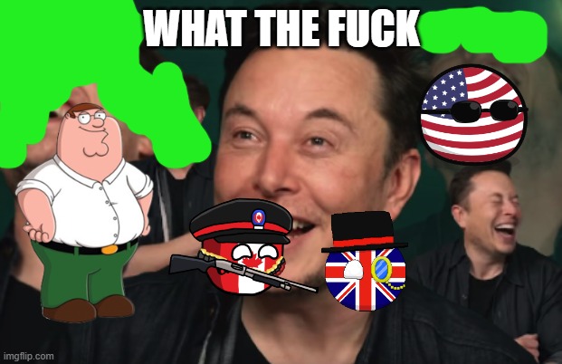 Elon Musk Laughing | WHAT THE FUCK | image tagged in elon musk laughing | made w/ Imgflip meme maker