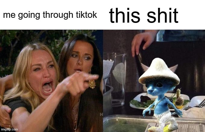Woman Yelling At Cat | me going through tiktok; this shit | image tagged in memes,woman yelling at cat | made w/ Imgflip meme maker