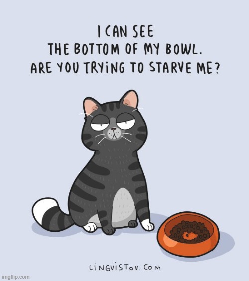 A Cat's Way Of Thinking | image tagged in memes,comics/cartoons,cats,bottom,bowl,starvation | made w/ Imgflip meme maker