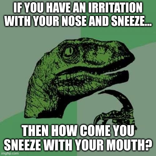 It might of sounded better in my head, but whatever... | IF YOU HAVE AN IRRITATION WITH YOUR NOSE AND SNEEZE... THEN HOW COME YOU SNEEZE WITH YOUR MOUTH? | image tagged in memes,philosoraptor,sneeze | made w/ Imgflip meme maker