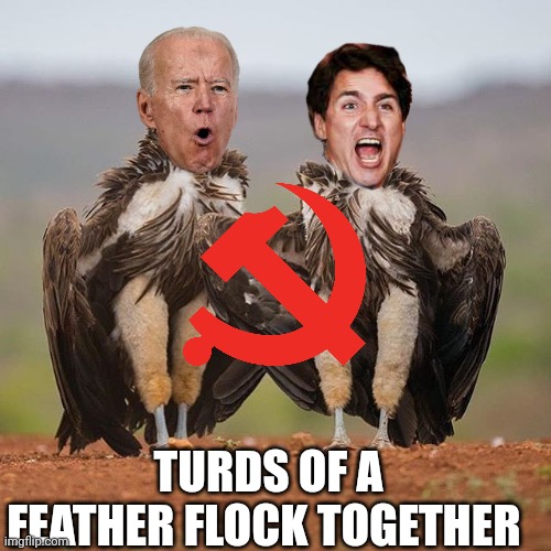 Joe biden | TURDS OF A FEATHER FLOCK TOGETHER | image tagged in joe biden | made w/ Imgflip meme maker