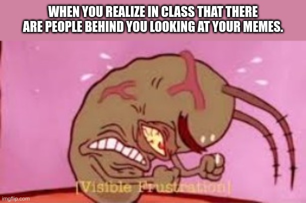 I should of stayed in the back, but that's where the annoying kid is... | WHEN YOU REALIZE IN CLASS THAT THERE ARE PEOPLE BEHIND YOU LOOKING AT YOUR MEMES. | image tagged in visible frustration,class,nosey,so true memes | made w/ Imgflip meme maker