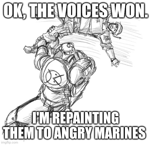 ANGRY space marine | OK, THE VOICES WON. I'M REPAINTING THEM TO ANGRY MARINES | image tagged in angry space marine | made w/ Imgflip meme maker