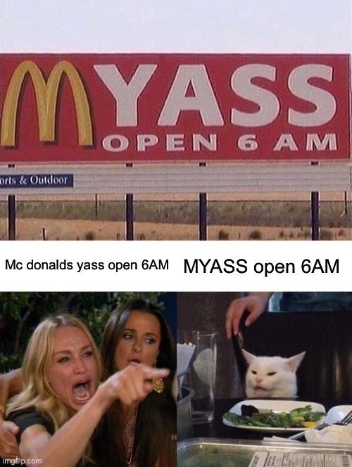 Mc donalds yass open 6AM; MYASS open 6AM | image tagged in memes,woman yelling at cat | made w/ Imgflip meme maker