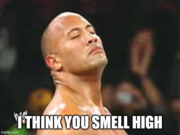 The Rock Smelling | I THINK YOU SMELL HIGH | image tagged in the rock smelling | made w/ Imgflip meme maker