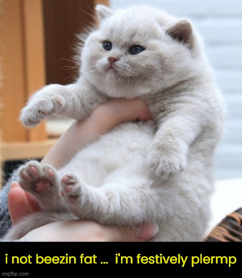 i not beezin fat ...  i'm festively plermp | made w/ Imgflip meme maker