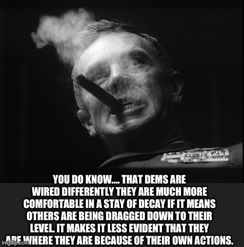 General Ripper (Dr. Strangelove) | YOU DO KNOW…. THAT DEMS ARE WIRED DIFFERENTLY THEY ARE MUCH MORE COMFORTABLE IN A STAY OF DECAY IF IT MEANS OTHERS ARE BEING DRAGGED DOWN TO | image tagged in general ripper dr strangelove | made w/ Imgflip meme maker
