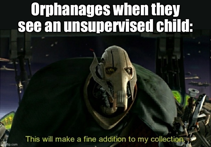 This will make a fine addition to my collection | Orphanages when they see an unsupervised child: | image tagged in this will make a fine addition to my collection | made w/ Imgflip meme maker