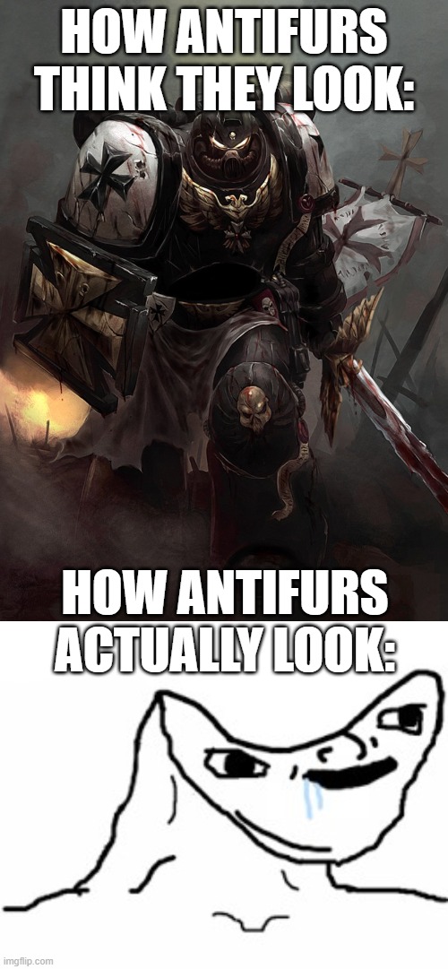 HOW ANTIFURS THINK THEY LOOK:; HOW ANTIFURS ACTUALLY LOOK: | image tagged in warhammer 40k black templar,drooling brainless idiot | made w/ Imgflip meme maker