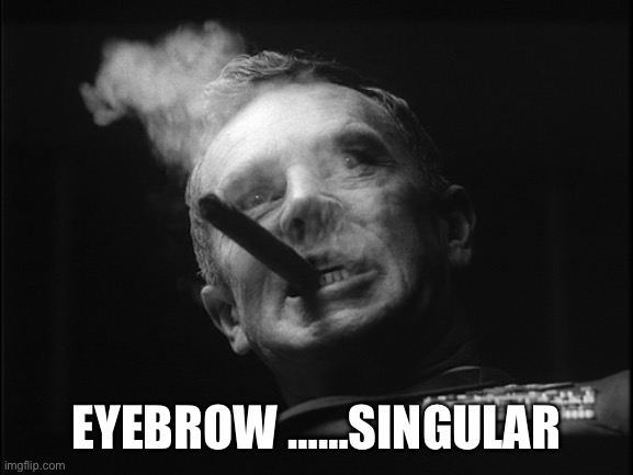 General Ripper (Dr. Strangelove) | EYEBROW ……SINGULAR | image tagged in general ripper dr strangelove | made w/ Imgflip meme maker