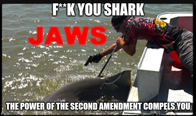 AMERICA | F**K YOU SHARK; THE POWER OF THE SECOND AMENDMENT COMPELS YOU | image tagged in shark | made w/ Imgflip meme maker