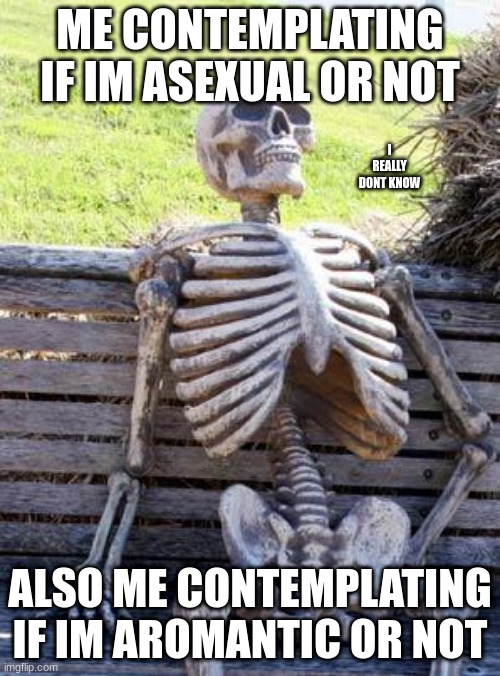 hmmmmm | ME CONTEMPLATING IF IM ASEXUAL OR NOT; I REALLY DONT KNOW; ALSO ME CONTEMPLATING IF IM AROMANTIC OR NOT | image tagged in memes,waiting skeleton | made w/ Imgflip meme maker