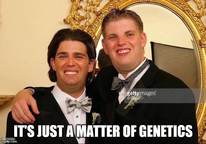 Trump superior genetics | IT'S JUST A MATTER OF GENETICS | image tagged in trump superior genetics | made w/ Imgflip meme maker