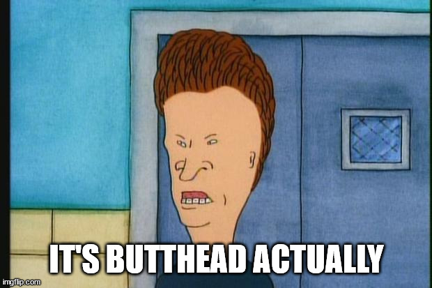 Butthead Beavis Paycoin Idiots | IT'S BUTTHEAD ACTUALLY | image tagged in butthead beavis paycoin idiots | made w/ Imgflip meme maker