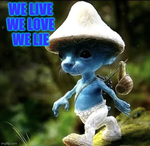 We live we love we lie | WE LIVE
WE LOVE
WE LIE | image tagged in blue smurf cat,blue,cats,important,impact,smurf | made w/ Imgflip meme maker