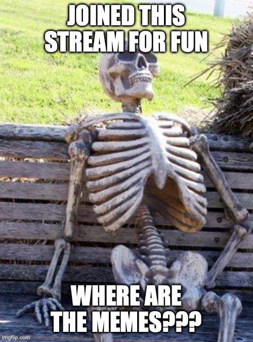 yo | JOINED THIS STREAM FOR FUN; WHERE ARE THE MEMES??? | image tagged in memes,waiting skeleton | made w/ Imgflip meme maker