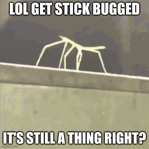 LOLOLOLOLOL GEt ReKT | LOL GET STICK BUGGED; IT'S STILL A THING RIGHT? | image tagged in get stick bugged lol | made w/ Imgflip meme maker