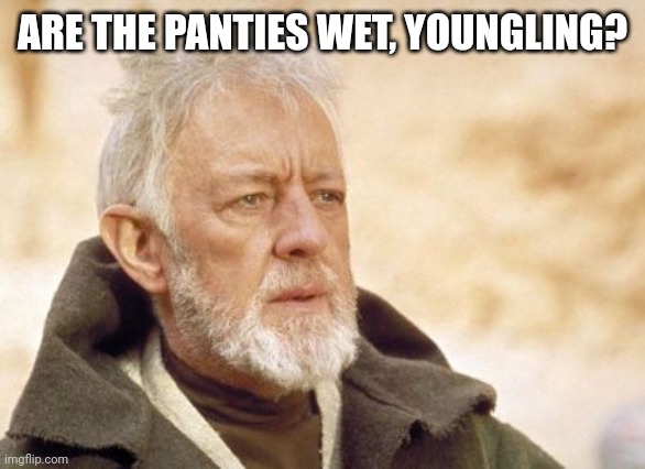 Obi Wan Kenobi Meme | ARE THE PANTIES WET, YOUNGLING? | image tagged in memes,obi wan kenobi | made w/ Imgflip meme maker