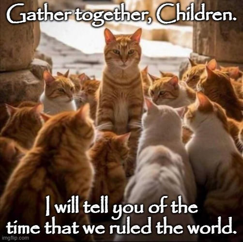 cats | Gather together, Children. I will tell you of the time that we ruled the world. | image tagged in cats,story time,gather | made w/ Imgflip meme maker