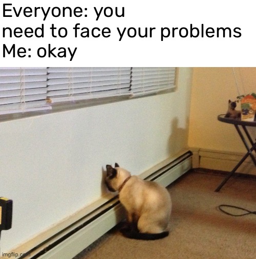 now what? | Everyone: you need to face your problems 
Me: okay | image tagged in funny,meme,cat,face your problems | made w/ Imgflip meme maker