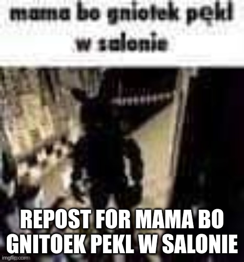 mama bo gnitoek pekl w salonie | REPOST FOR MAMA BO GNITOEK PEKL W SALONIE | image tagged in mama bo gnitoek pekl w salonie | made w/ Imgflip meme maker