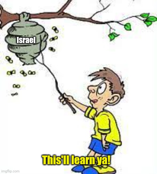Tapping hornets nest | Israel This'll learn ya! | image tagged in tapping hornets nest | made w/ Imgflip meme maker