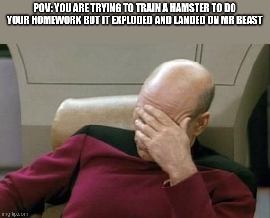 #relatble | POV: YOU ARE TRYING TO TRAIN A HAMSTER TO DO YOUR HOMEWORK BUT IT EXPLODED AND LANDED ON MR BEAST | image tagged in memes,captain picard facepalm | made w/ Imgflip meme maker