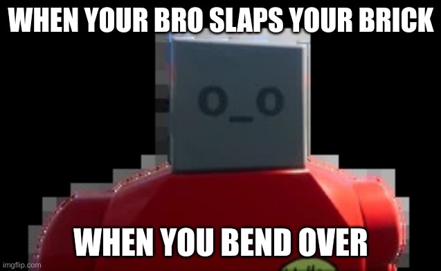 its a bricks rig struggle | WHEN YOUR BRO SLAPS YOUR BRICK; WHEN YOU BEND OVER | image tagged in shocked bob | made w/ Imgflip meme maker